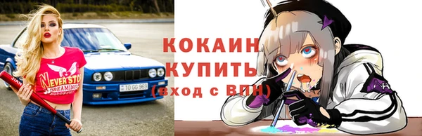 прущие грибы Тавда