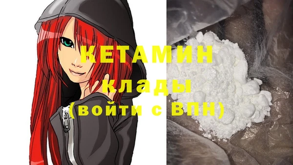крисы Тайга