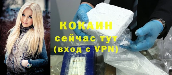 крисы Тайга